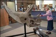Triceratops in KS Library